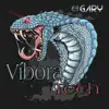 Dj Gary - Víbora Tech - Single